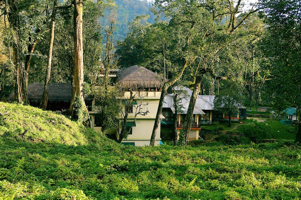 Deep Woods Resort Munnar Habitación foto